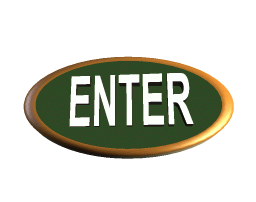 enter2.gif (349375 bytes)